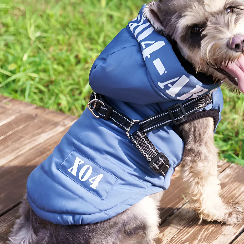 Red fleece-lined waterproof dog jacket with hood on a dog, showing casual style.