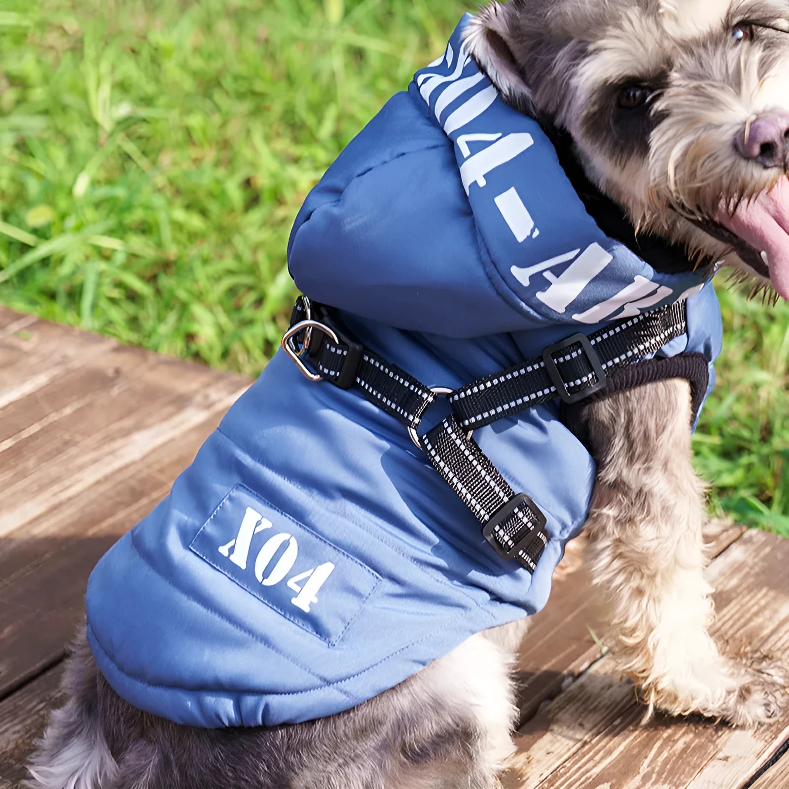 Red fleece-lined waterproof dog jacket with hood on a dog, showing casual style.