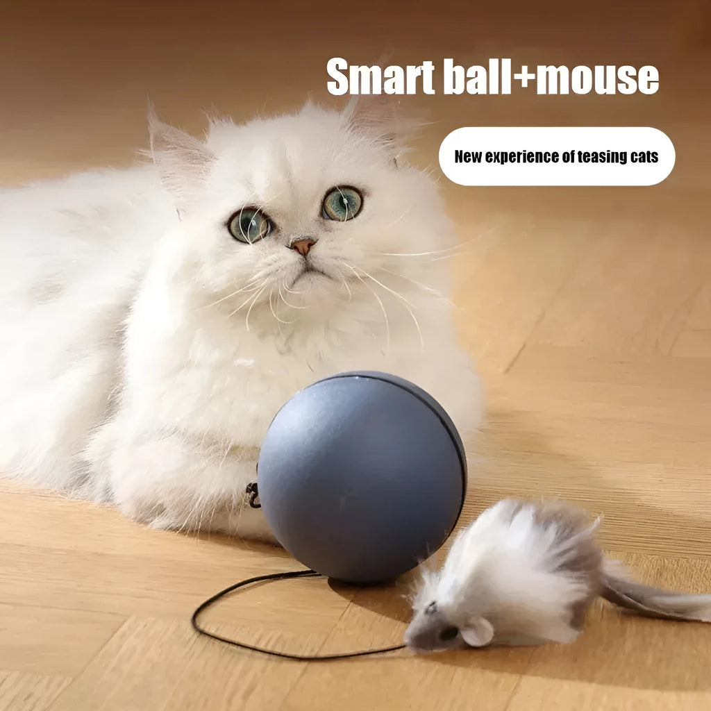 Automatic cat teasing ball with plush mouse in blue orange and dark grey colours