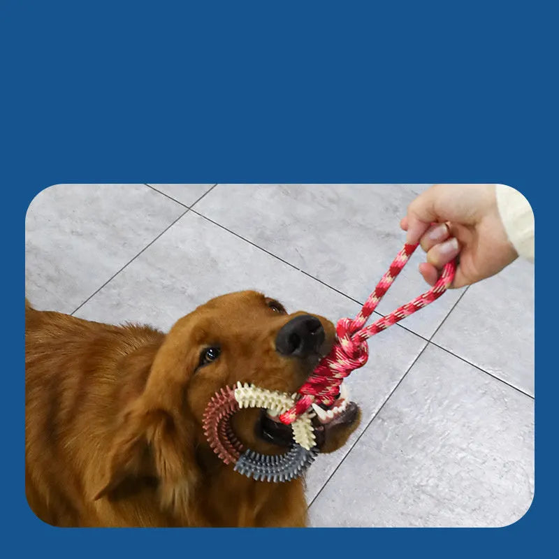Colourful blue braided rope dog toy with multiple knots, shown on a plain background.