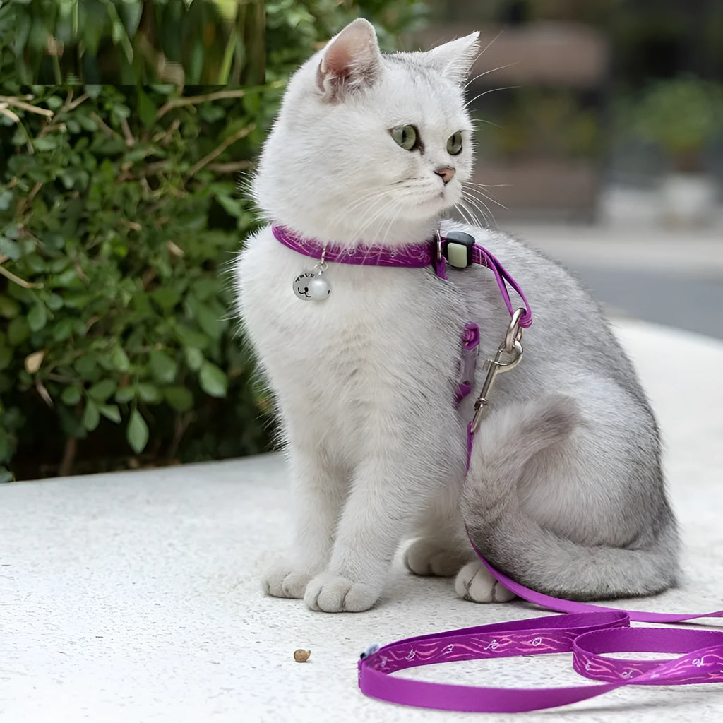 Pet cat bell chest strap harness with lead in blue, polyester jacquard mesh, adjustable size for small dogs