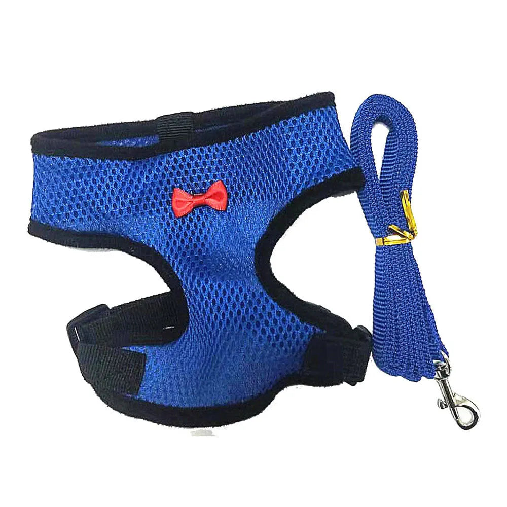 Chicken harness vest with decorative bow collar and traction rope for poultry pet control