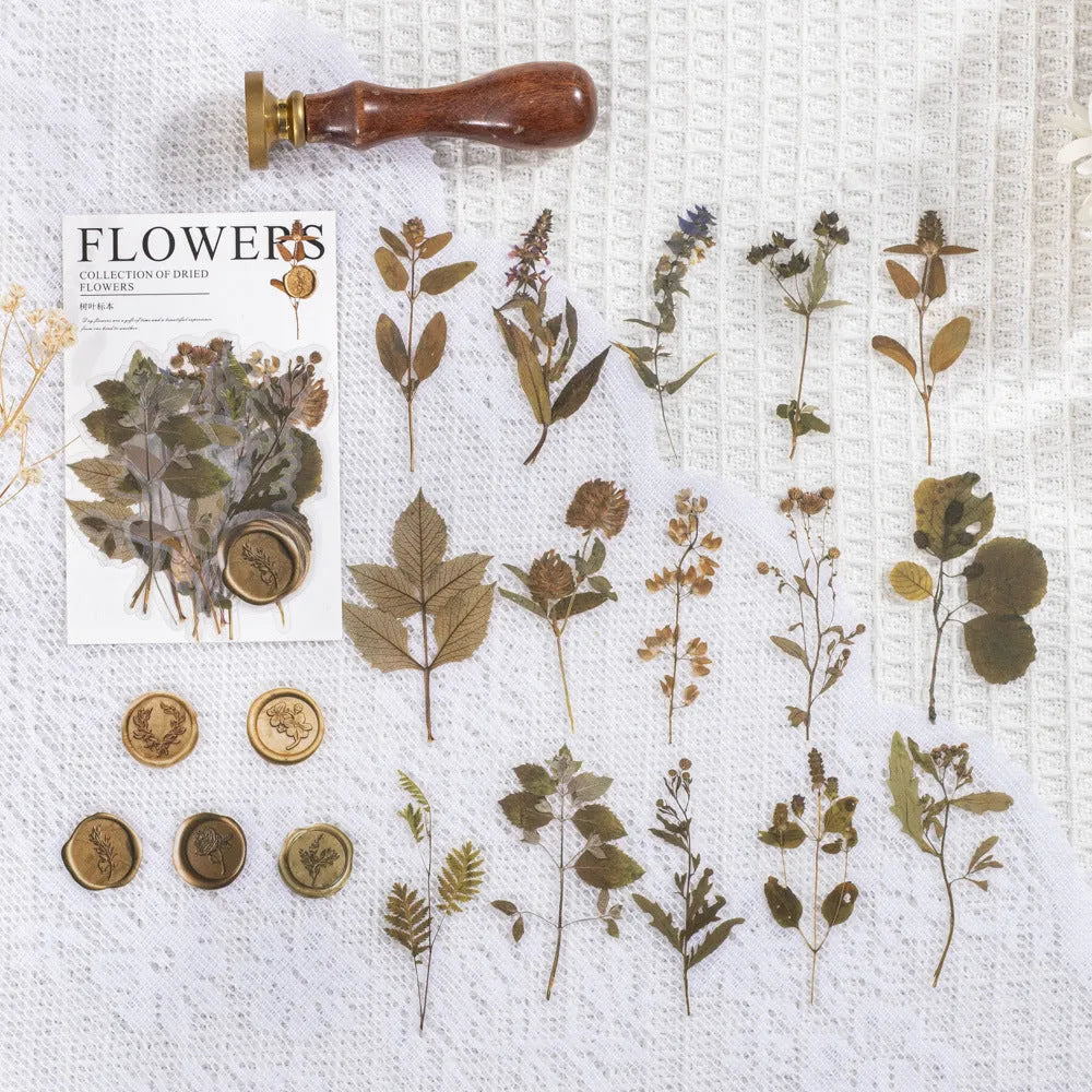 Pack of 40 decorative dried flower design sticker sheets in eight colours including purple, blue, and orange.