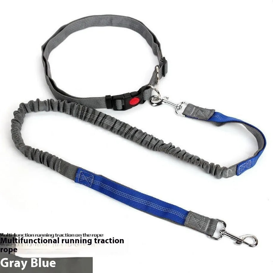 Elastic dog leash with reflective filament in two-tone colour combination, showing adjustable sling and standard clip attachment