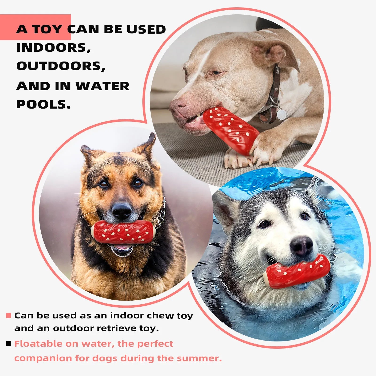 Primary colour plastic dog chew toy with molar rod design and toothbrush texture pattern