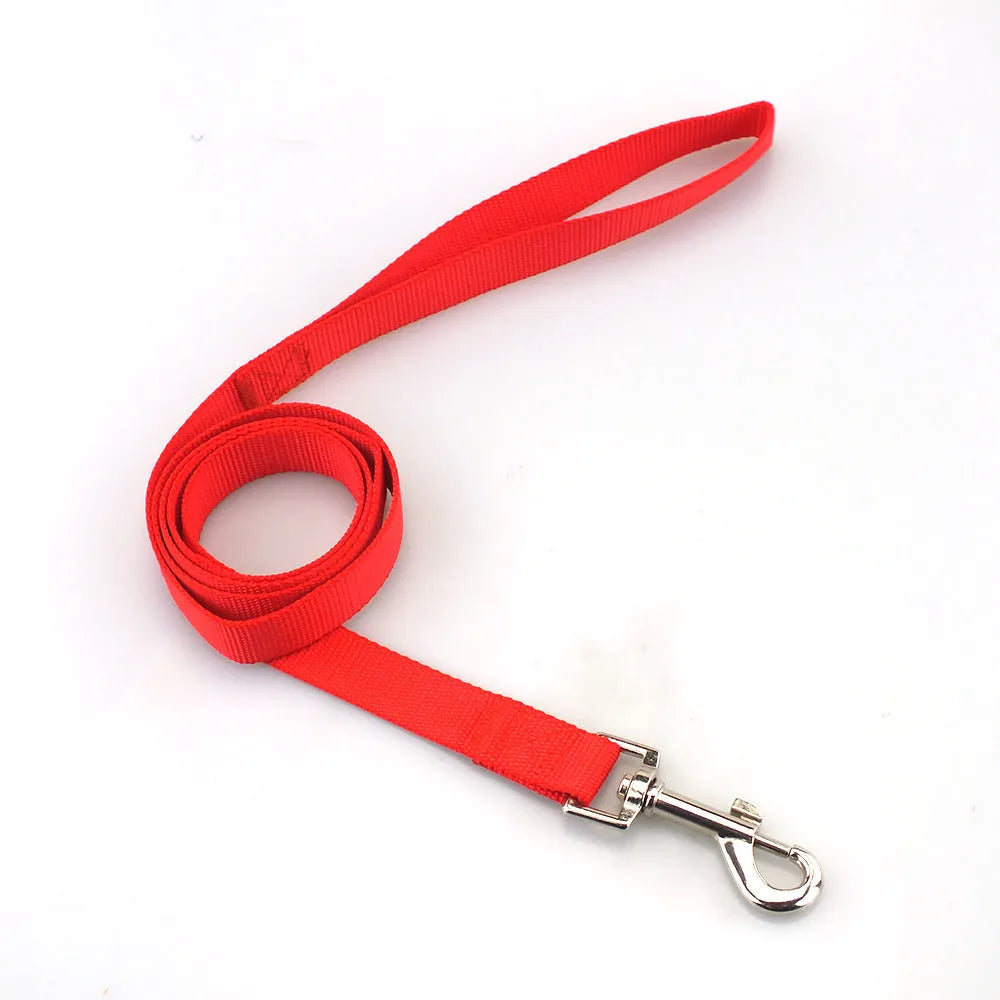 Solid colour polyester dog lead with hand-holding rope design shown in blue colour option