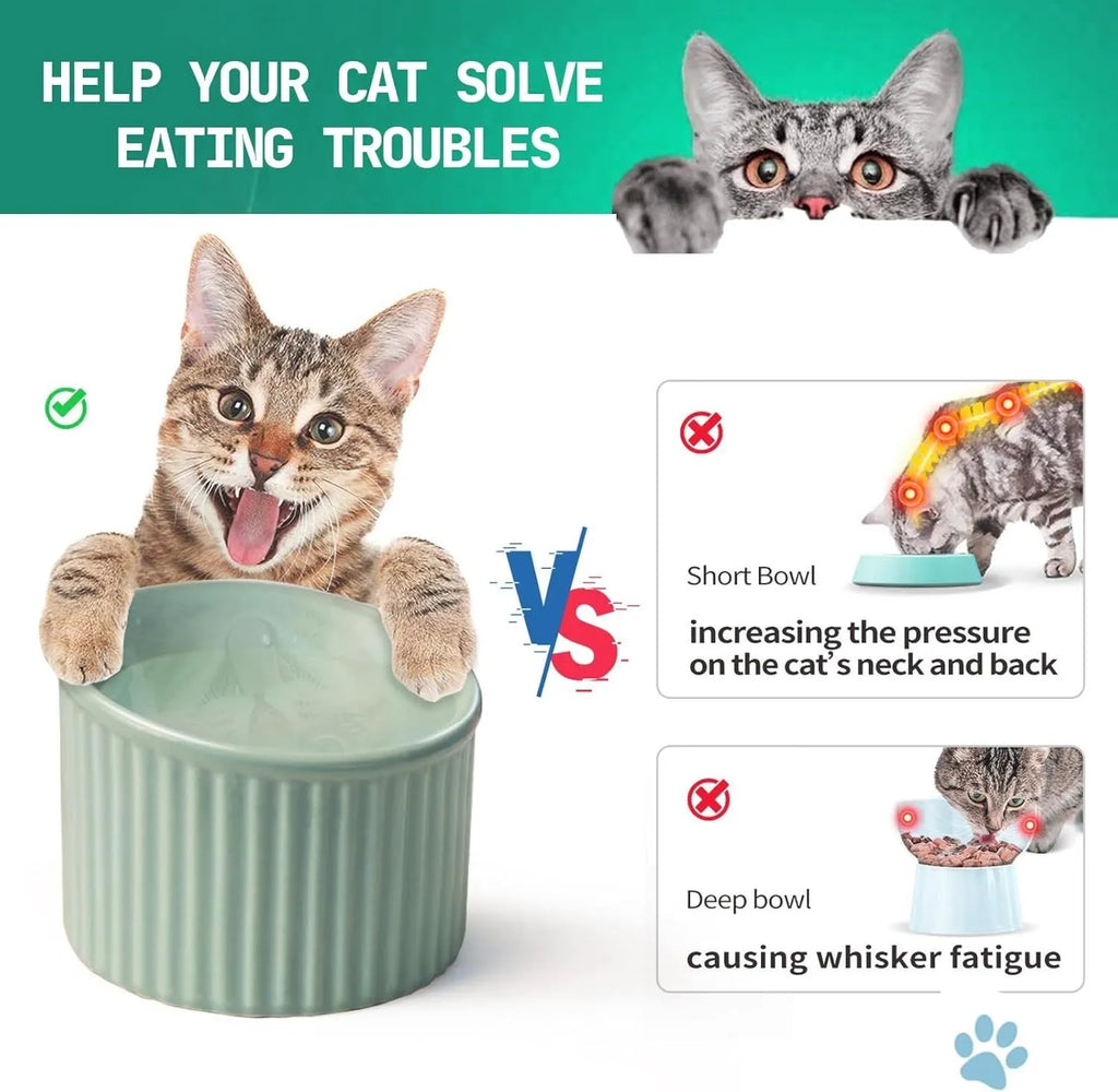 Ceramic elevated cat bowl in green colour with tilted design for anti-vomit feeding