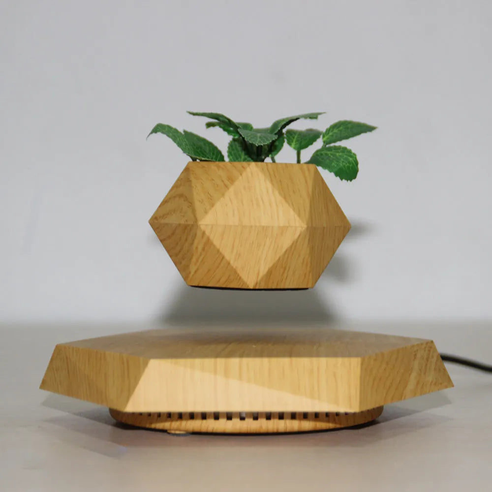 Floating magnetic levitating flower pot in wood grain finish with micro plant suspended 15mm above hexagonal base