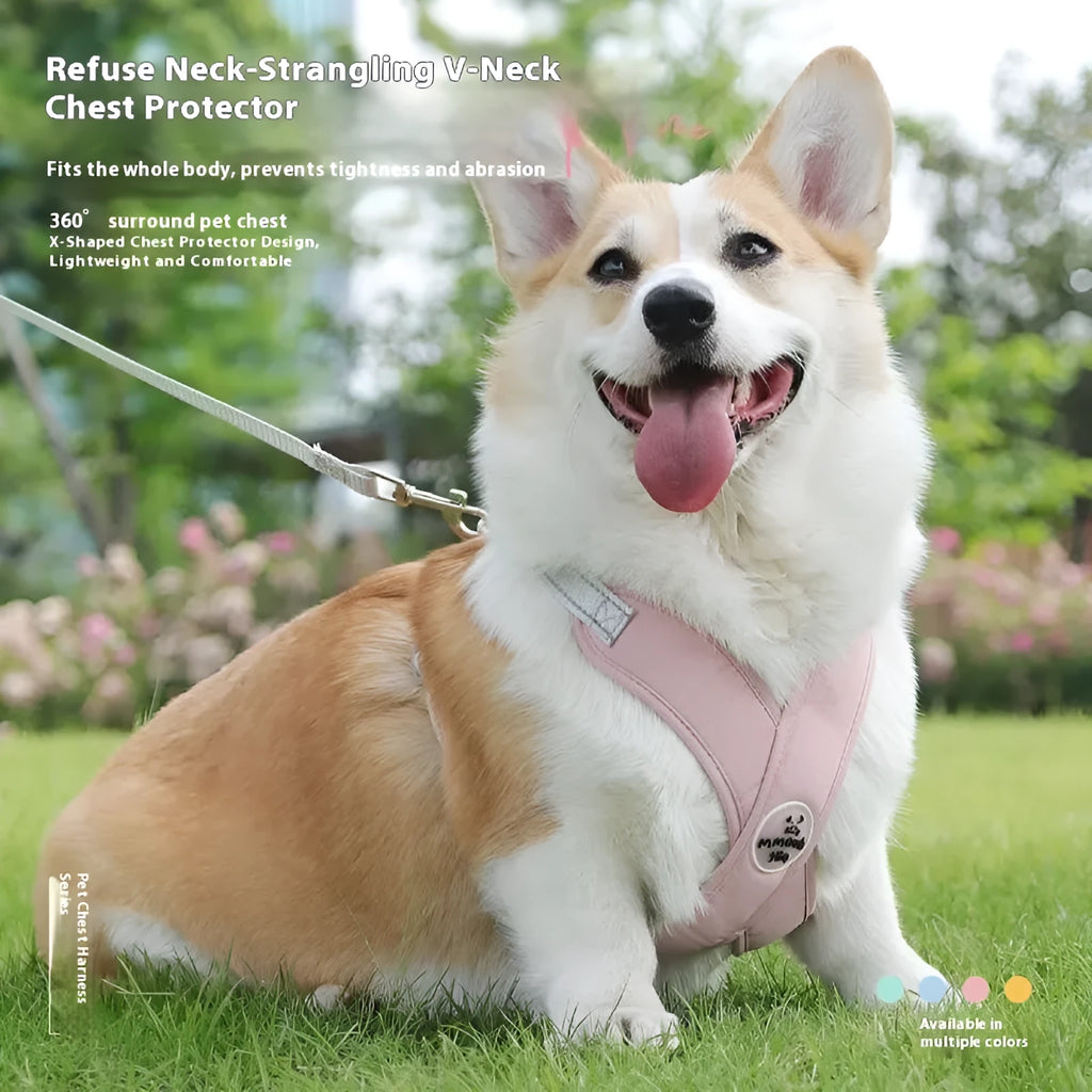Polyester pet walking vest and hand-holding rope combo set in four colour options