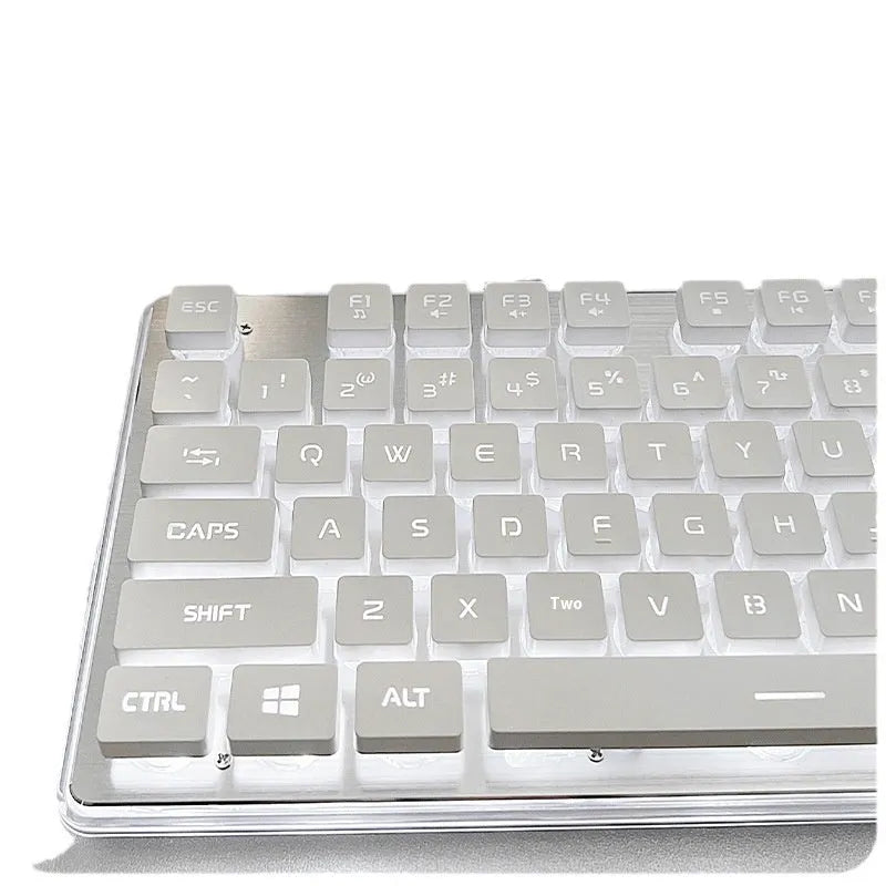 Mute mechanical keyboard with LED lighting and matching wired mouse in silver white blue colour combination