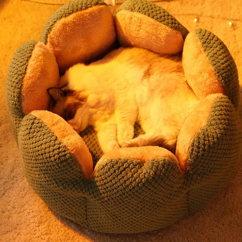 Cactus petal shape pet bed in plush material with sheltered design and non-slip base