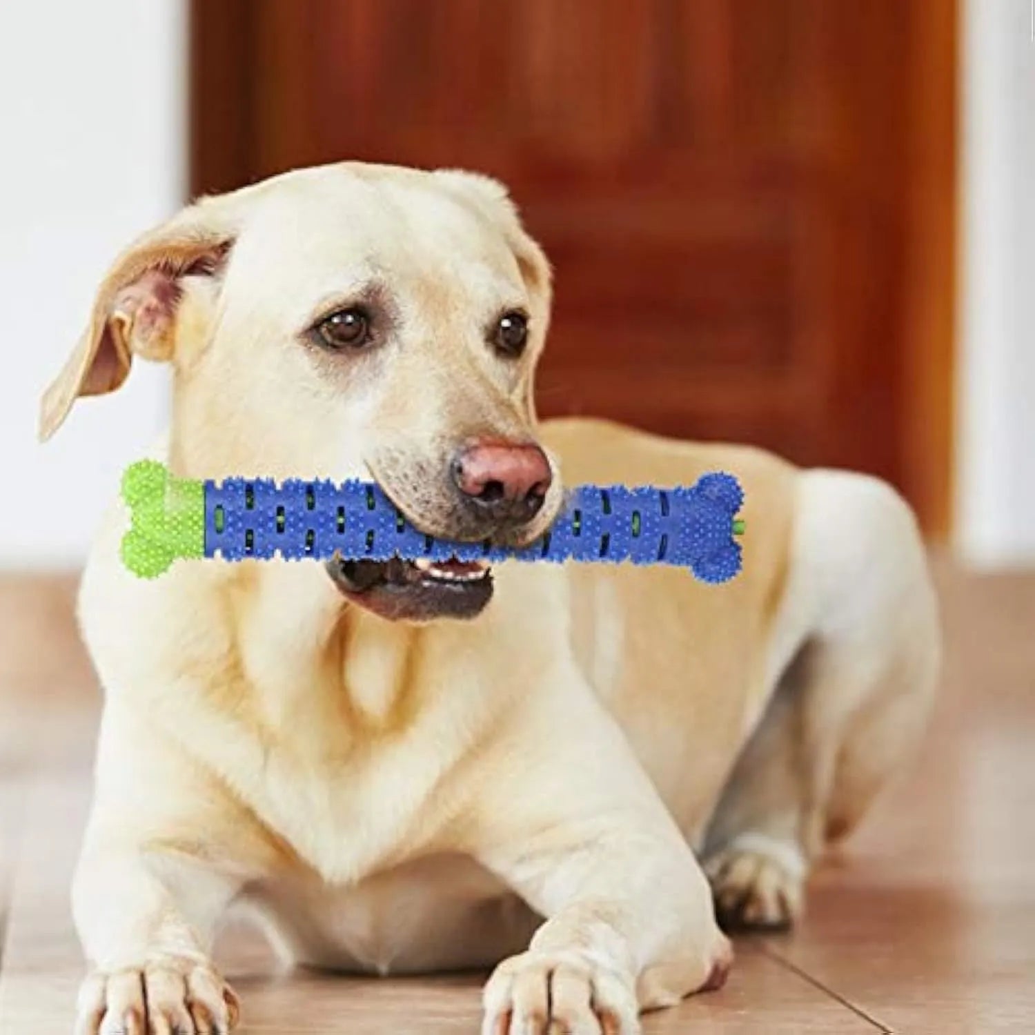 Blue green dog toothbrush chew toy with serrated cleaning head and gum massage nodules