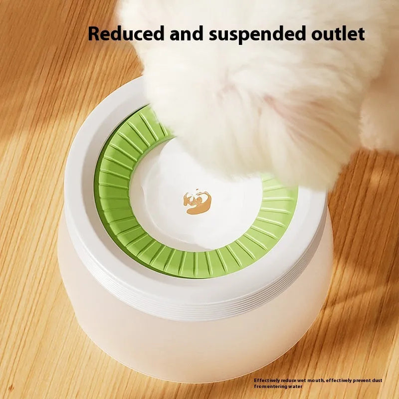 Green suspended pet water bowl for medium and small dogs and cats on a white plate
