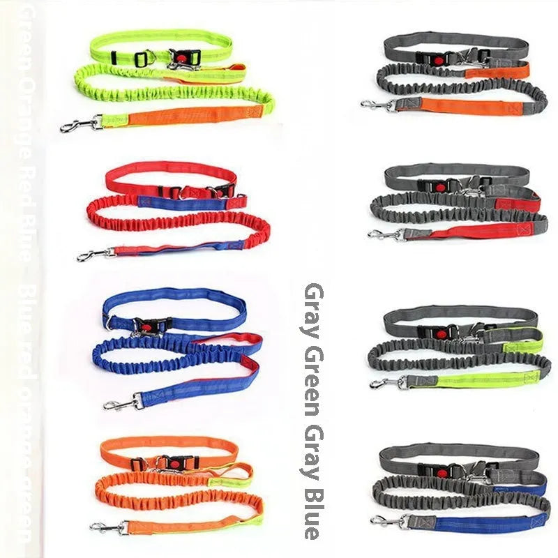 Elastic dog leash with reflective filament in two-tone colour combination, showing adjustable sling and standard clip attachment