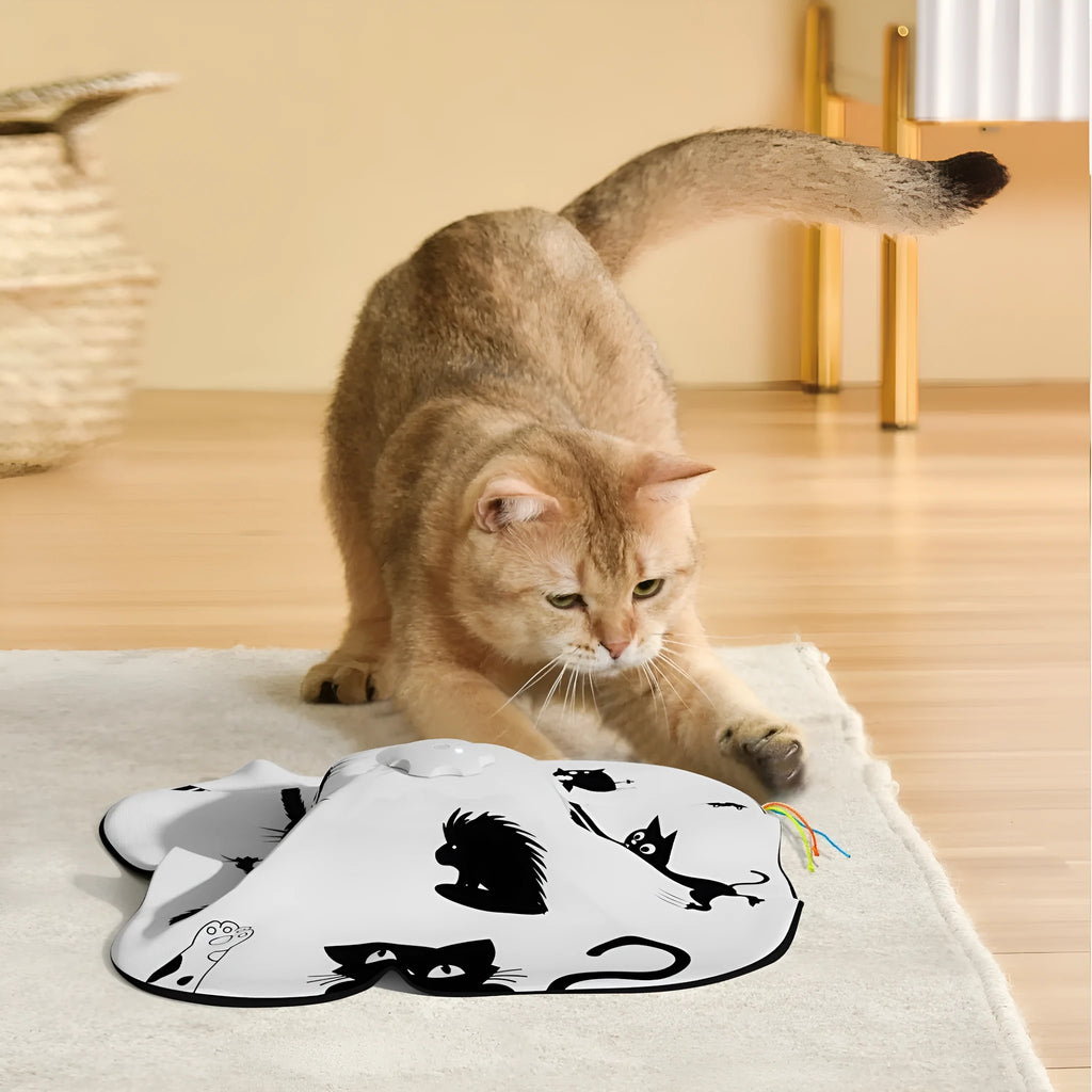 Interactive self-moving cat teaser toy with plastic construction in picture colour