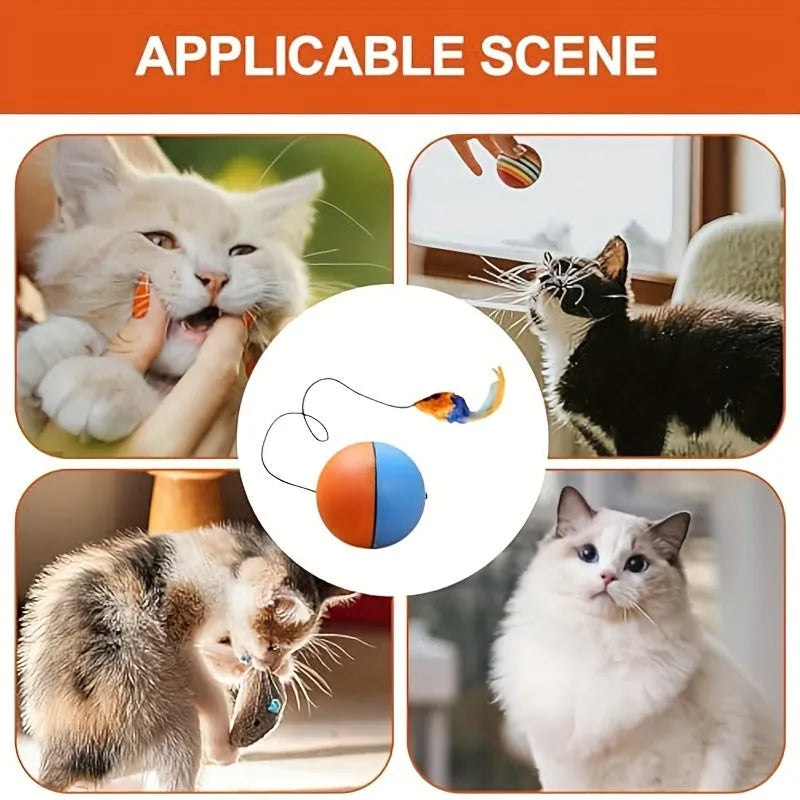 Interactive cat toy ball and plush mouse in blue and orange colours measuring 8.5cm