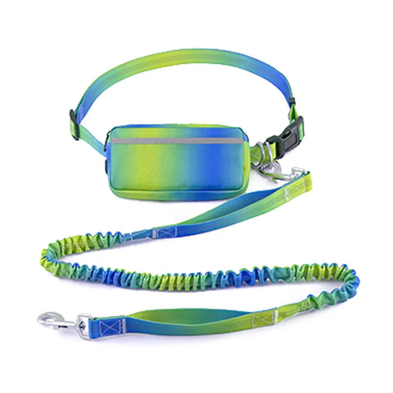 Hands-free adjustable dog leash with reflective traction rope and waist belt in blue