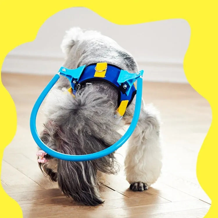 A blue adjustable anti-collision ring for dogs, shown in various sizes.