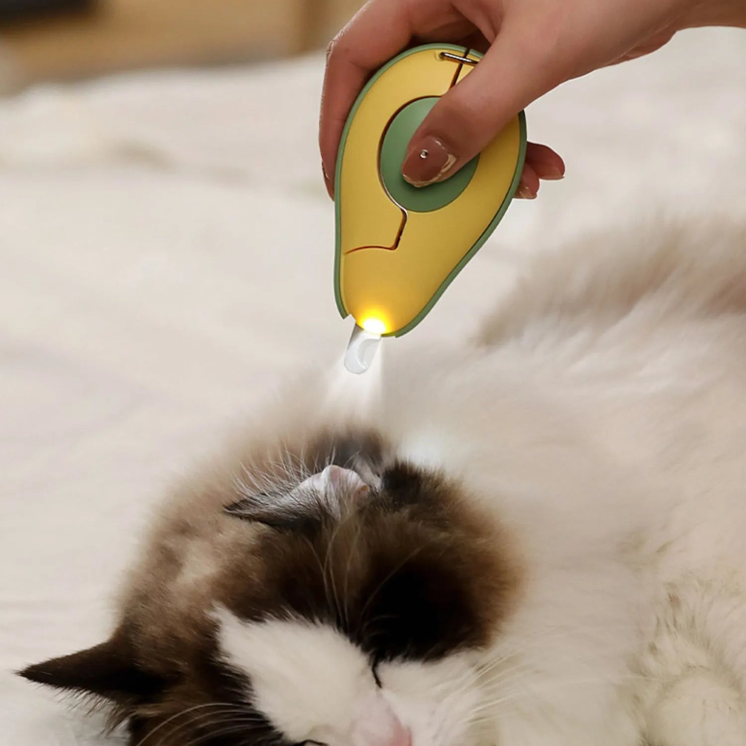 Pet nail clipper with LED light in green colour for trimming cat and small dog claws