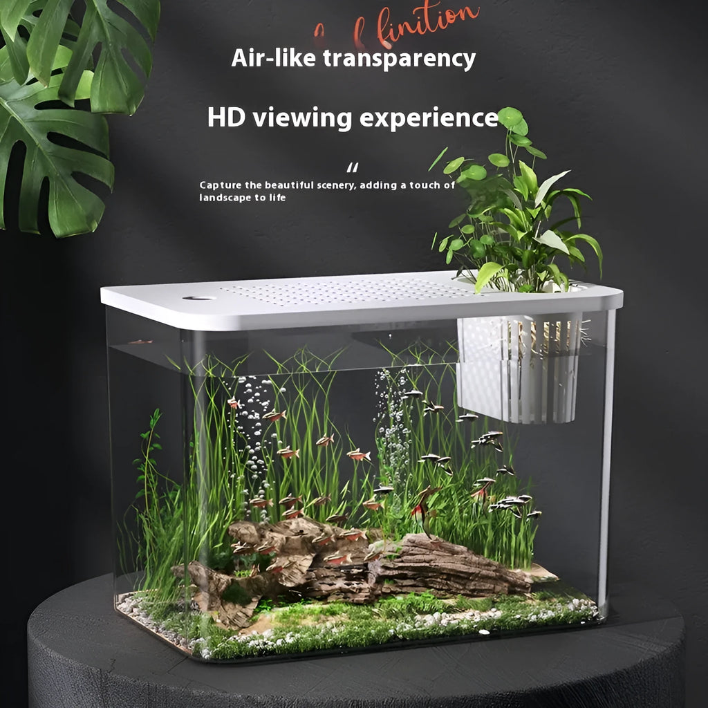 Medium black plastic betta fish tank with cover measuring 32cm length