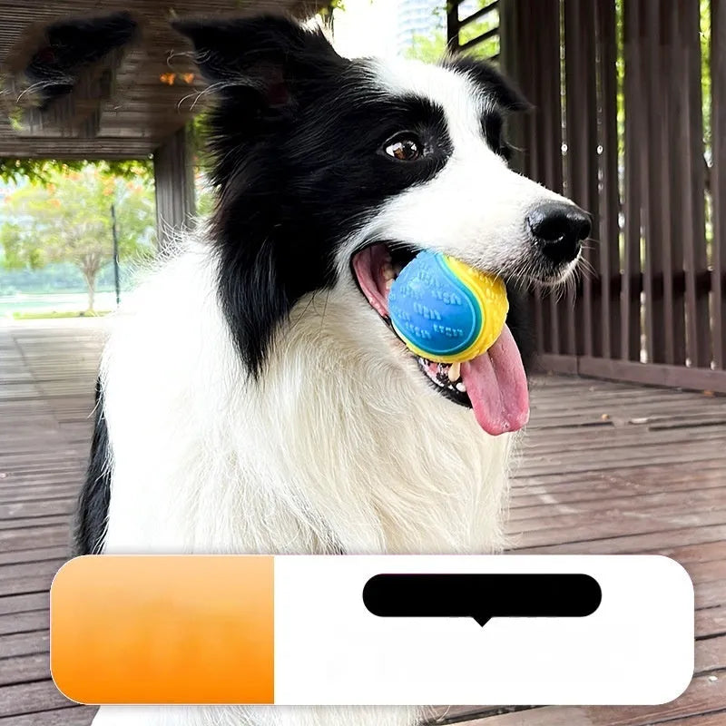 Red and blue TPR rubber dog ball with squeaker, shown next to a 6.5 cm measurement guide.