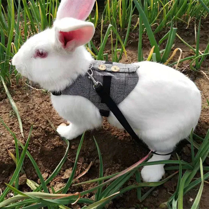 Grey cloth rabbit leash with dress in three sizes S M L chest strap