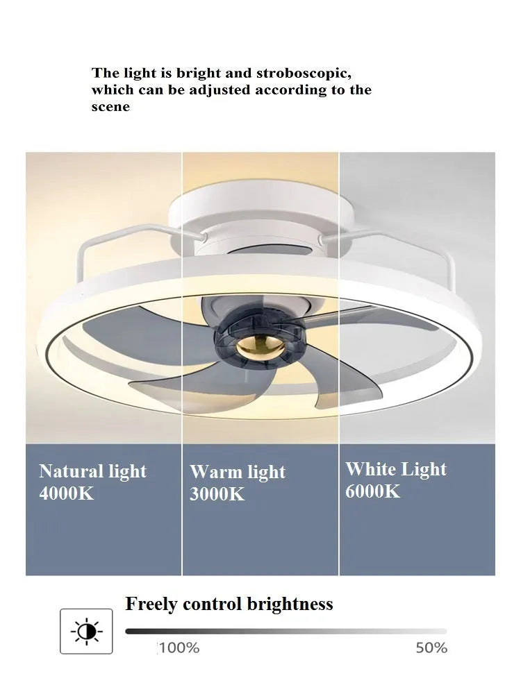 Modern simple ceiling fan lamp with light, 50cm diameter, shown in a selection of colours.