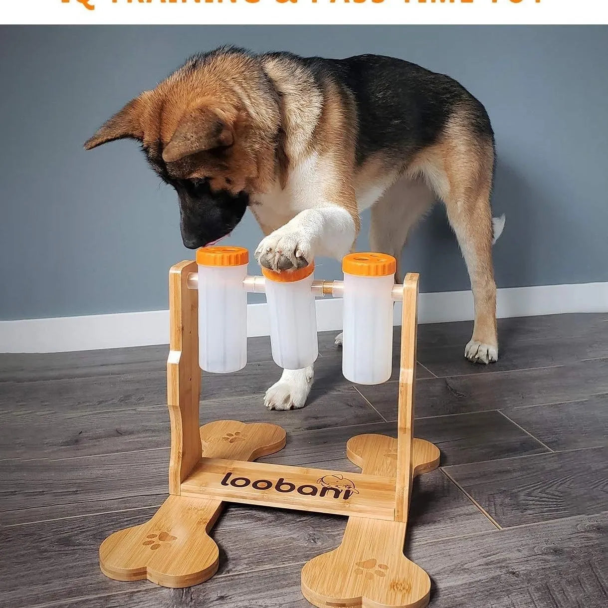 Wooden dog puzzle toy snack dispenser feeder measuring 31x30x20cm in natural wood colour