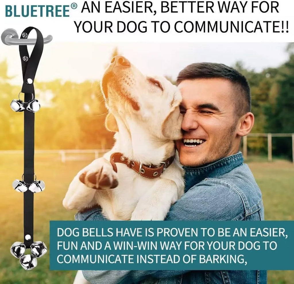 Adjustable dog training doorbell with shiny silver metal bells on a black nylon strap
