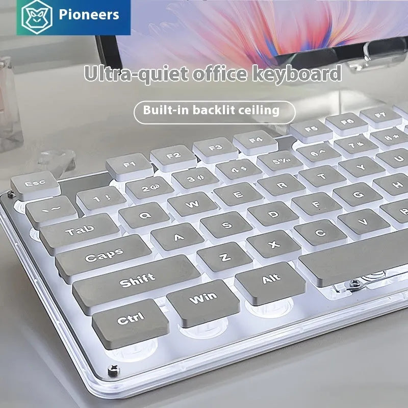 Mute mechanical keyboard with LED lighting and matching wired mouse in silver white blue colour combination