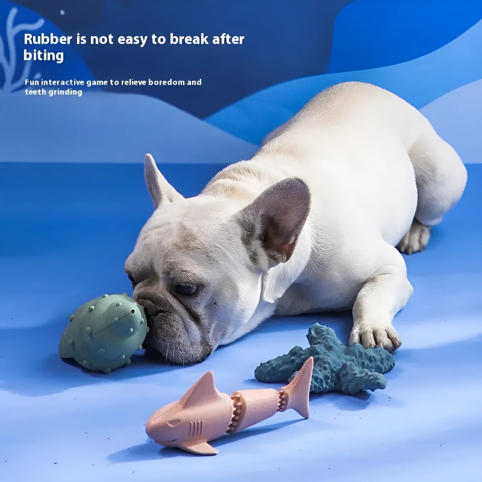 Shark-shaped rubber dog toy in marine colours including conch blue, conch green, starfish blue, and starfish green options