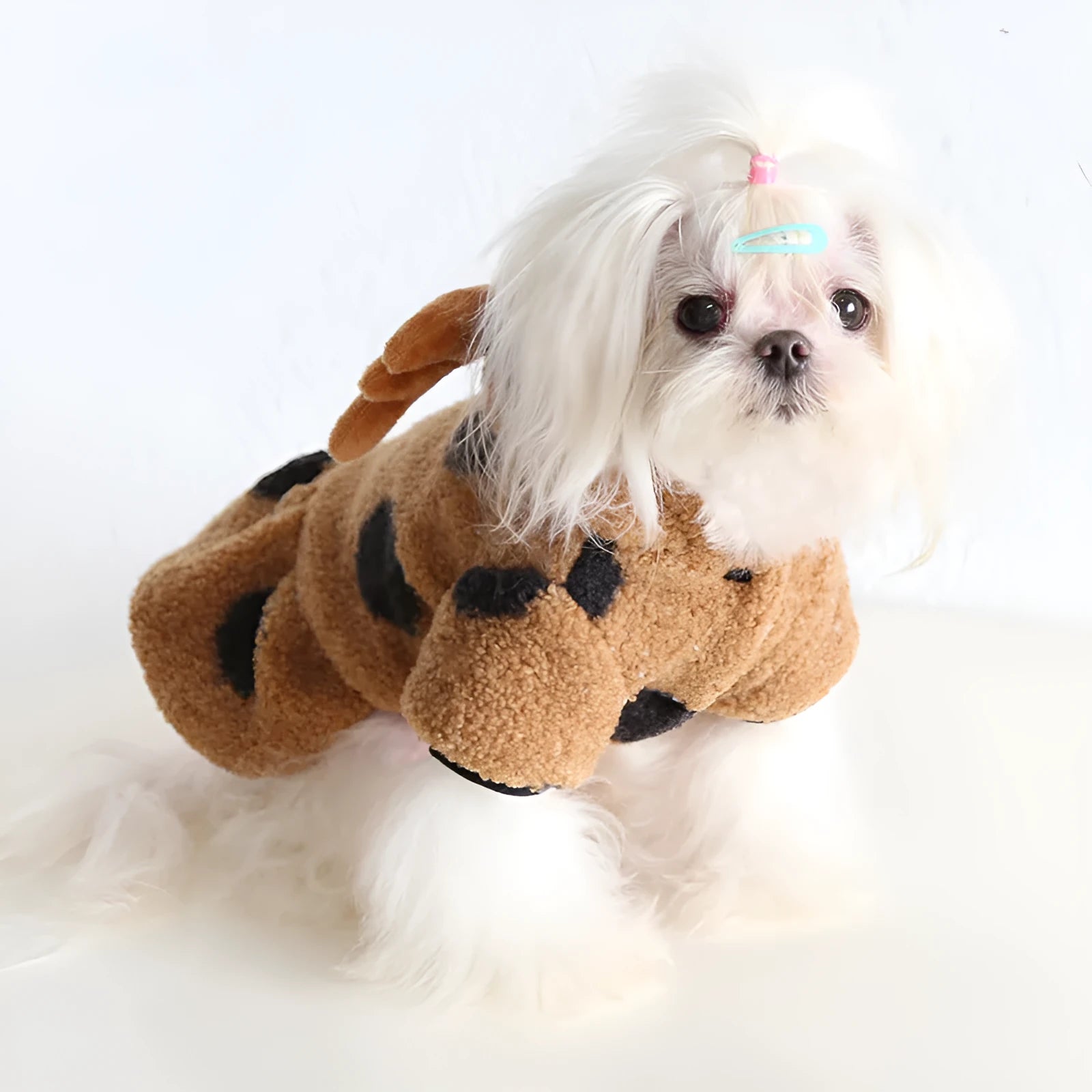 Dog or cat wearing a casual cloth garment with a large polka dot and elk couple print, shown in both four-legged and skirt styles.