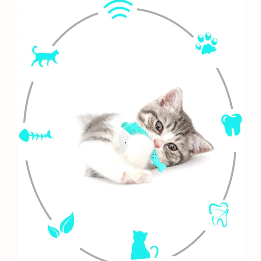 Silicone fish-shaped cat chew toy with teaser design in multiple colours