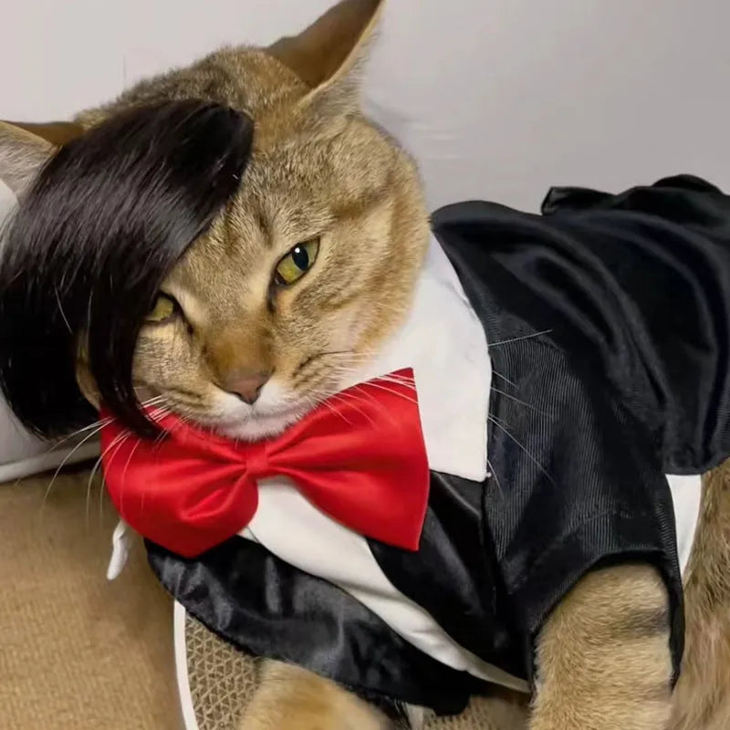 Black polyester fox-style braid wig for cats on a mannequin head.