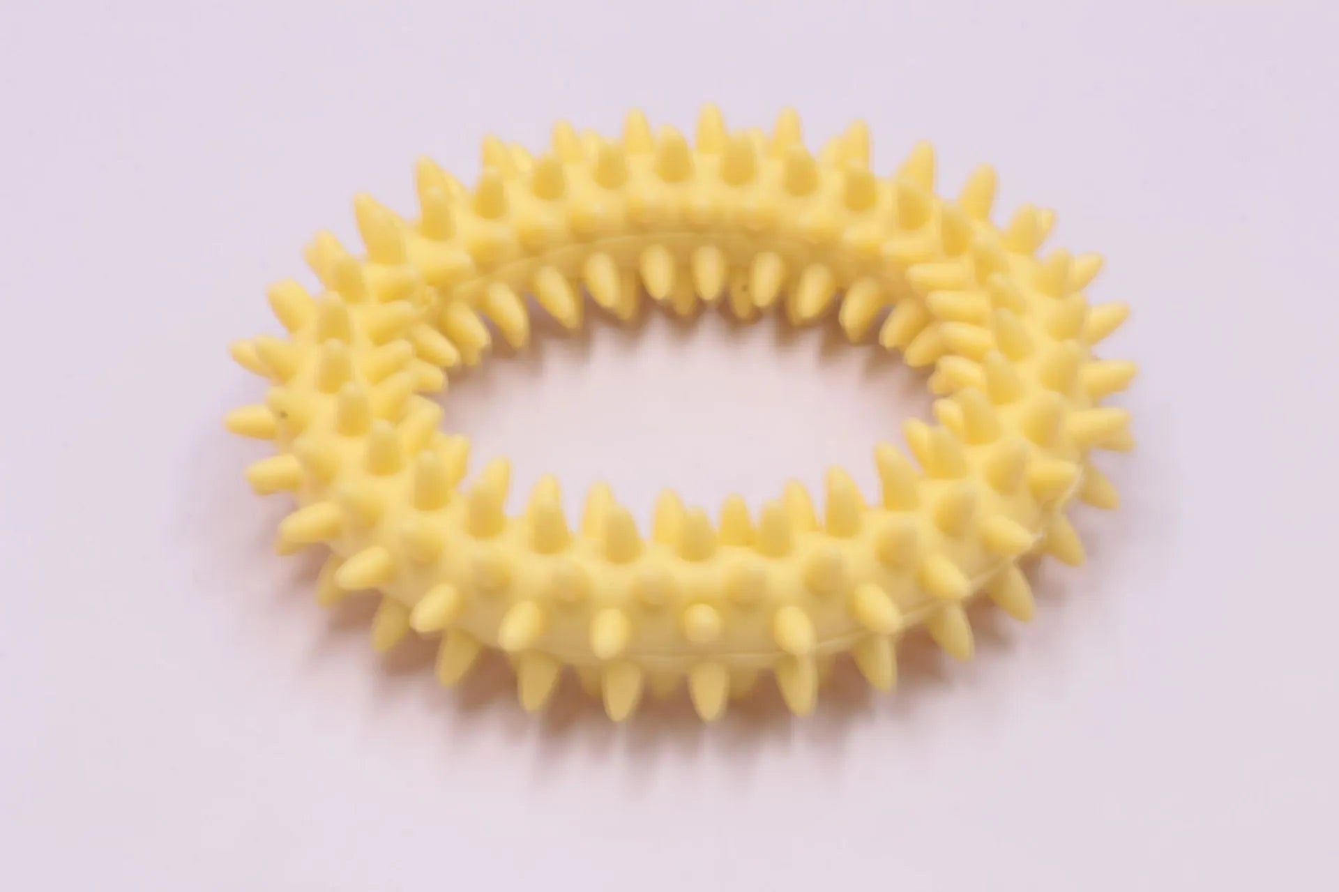 Blue spiky TPR circle ring dog chew toy for dental cleaning and bite training