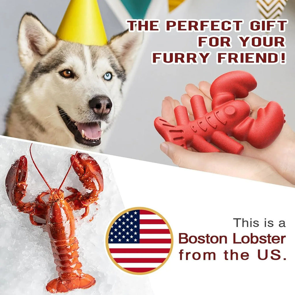 Large red dog chew toy for aggressive chewers with dental benefits