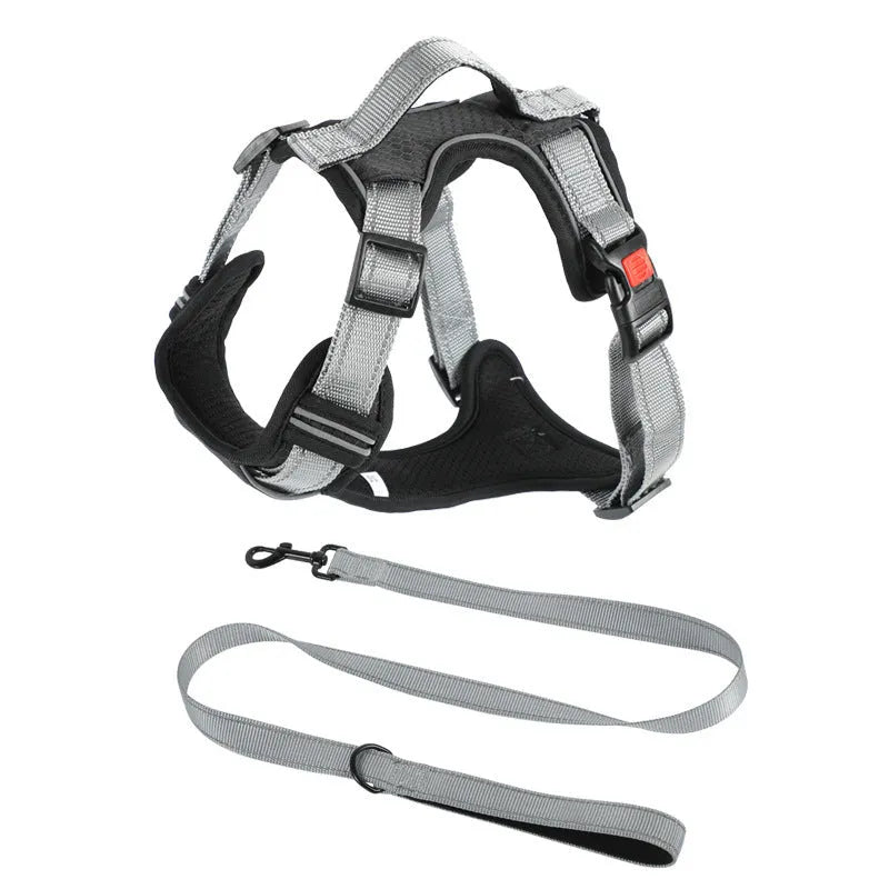 Adjustable polyester dog chest harness in various colours with optional hand holding rope