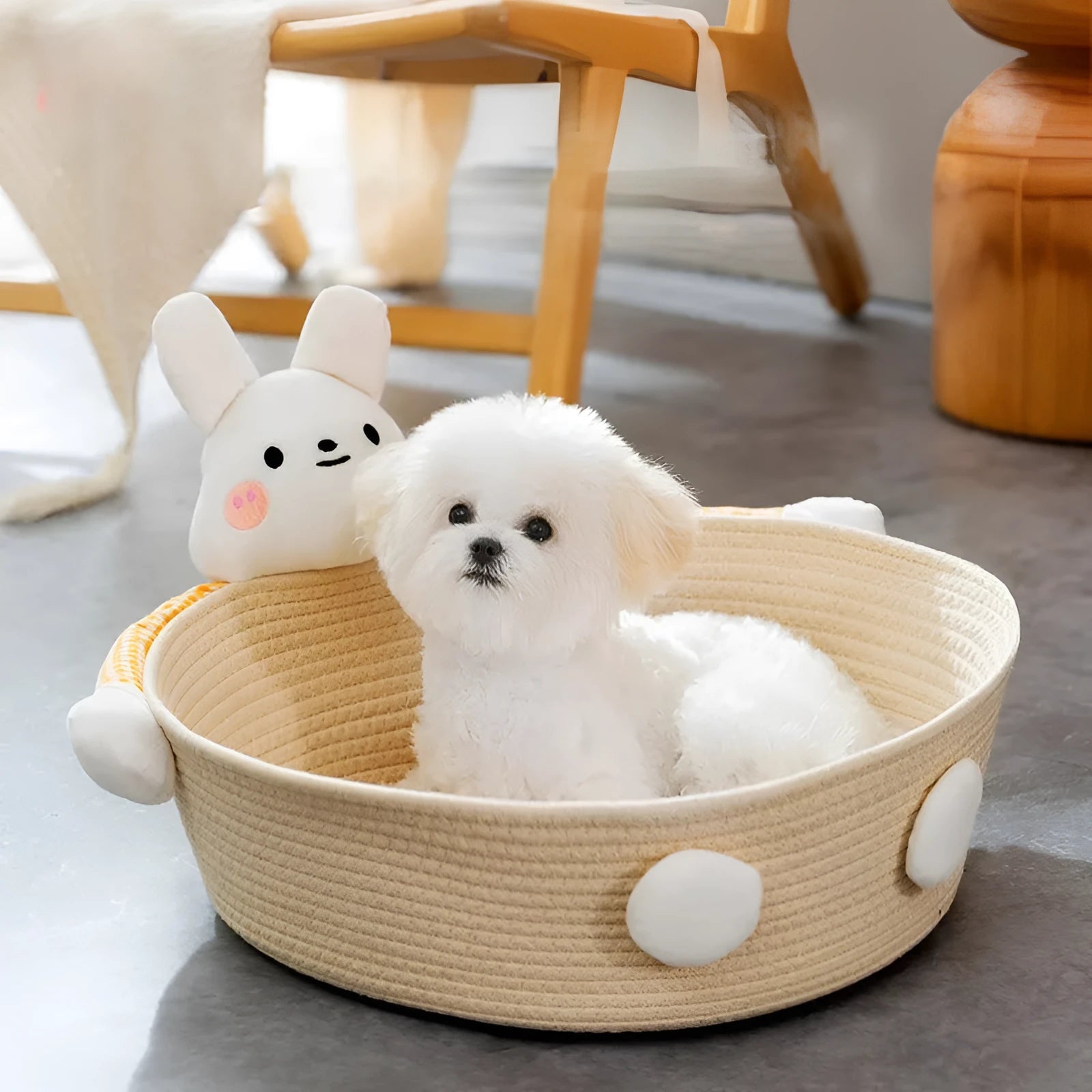 Woven cotton rope cat bed basket with integrated scratching pad for indoor cats, shown in Bear and Rabbit styles.