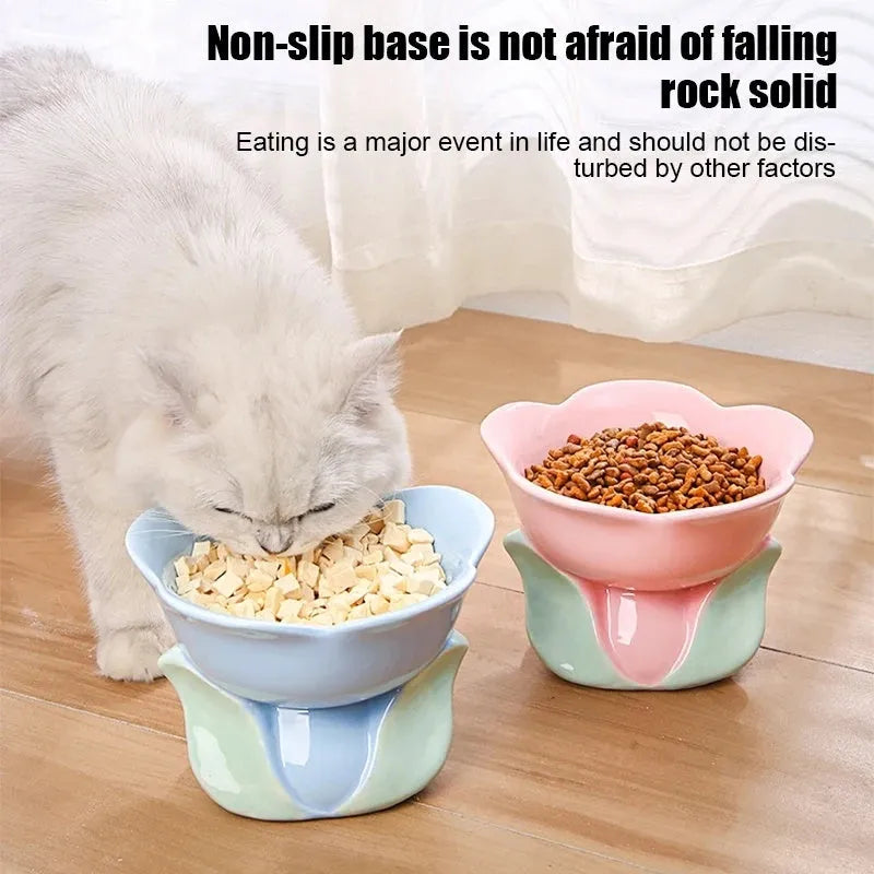 Pink floral patterned raised ceramic bowl for cat or small dog feeding on a non-slip base.