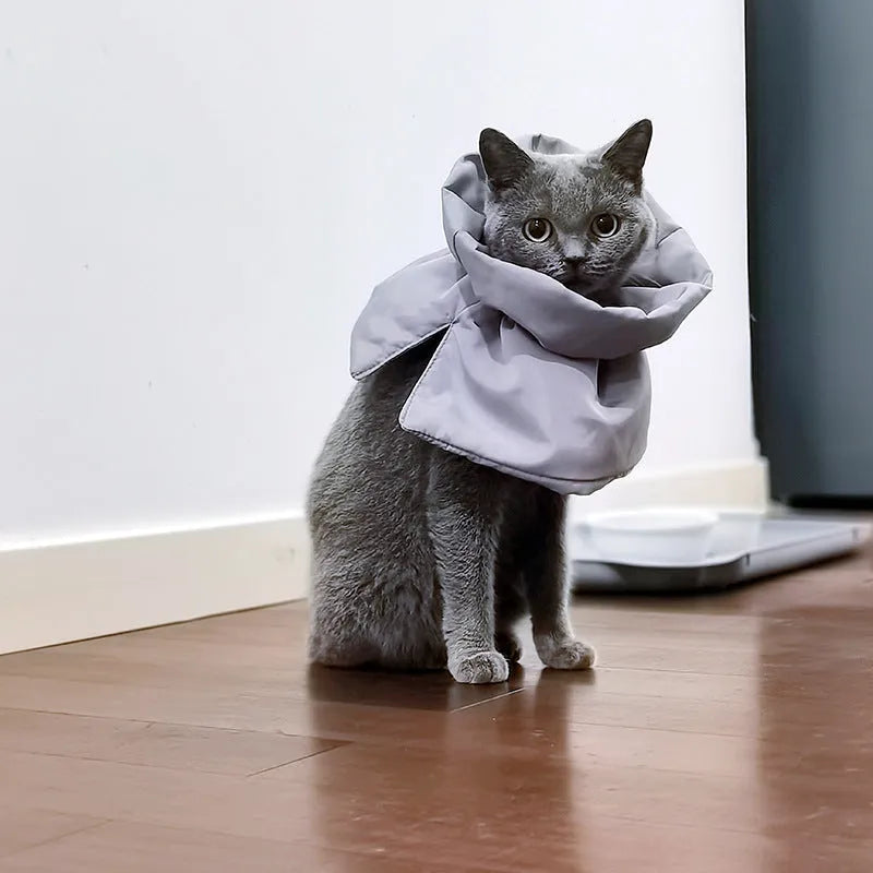 Soft blue adjustable cat recovery collar with elastic buckle on a flat surface