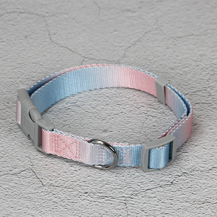 Nylon dog leash set with collar and harness in a pink and blue gradient colour.