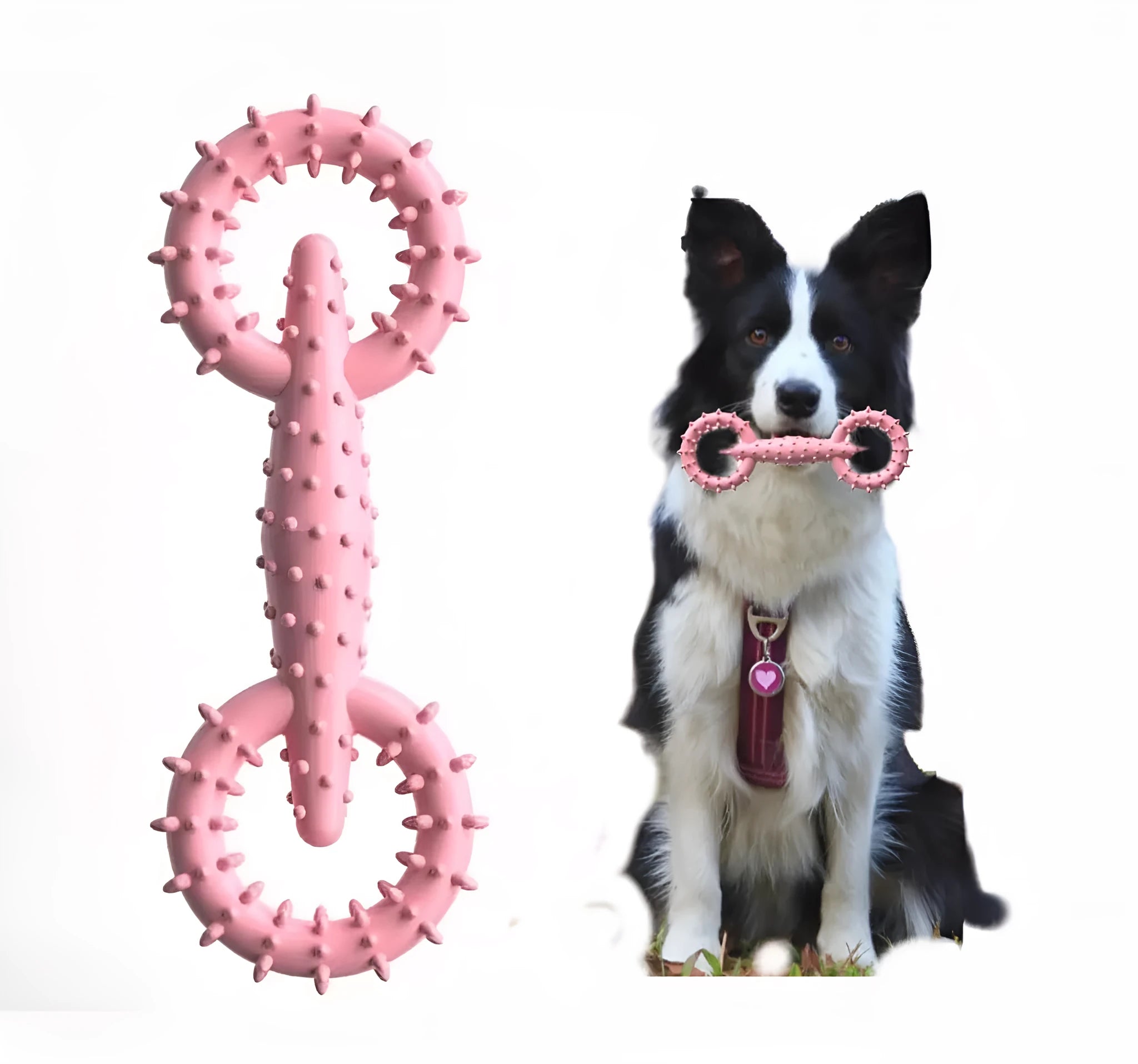 Blue TPR dog chew toy ring for puppies on a white background.