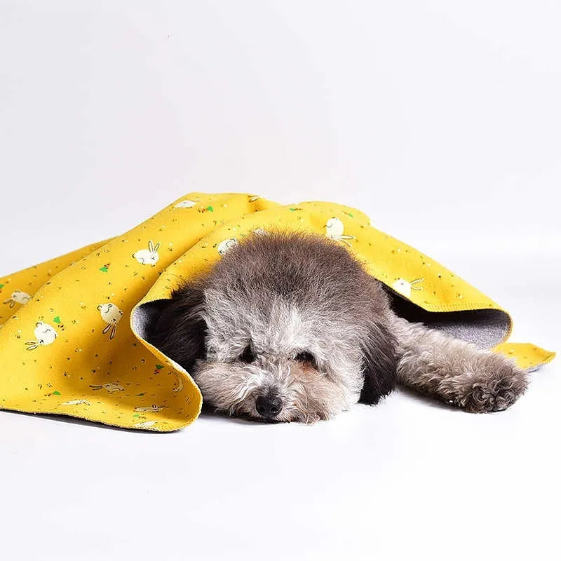 Colourful double-sided cotton velvet pet blanket with dinosaur and cartoon bear designs, shown in multiple sizes.