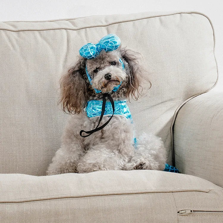 Blue polyester mermaid pet costume with headwear for small dogs and cats