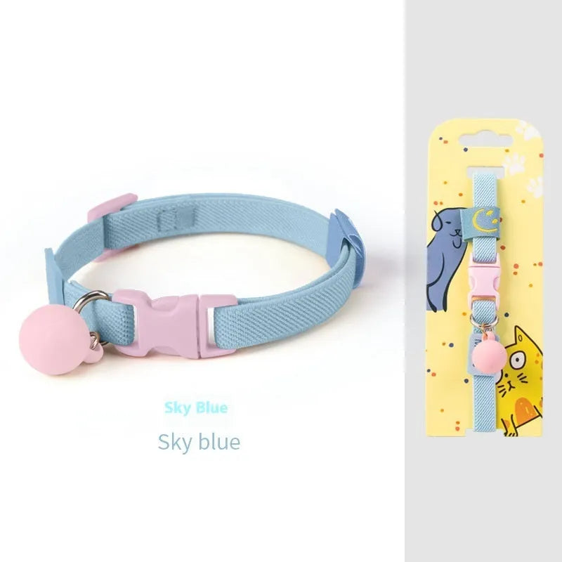 Small dog wearing a stretchy polyester pet collar in a choice of seven colours.