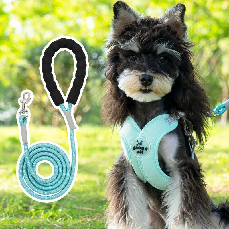 Polyester pet walking vest and hand-holding rope combo set in four colour options