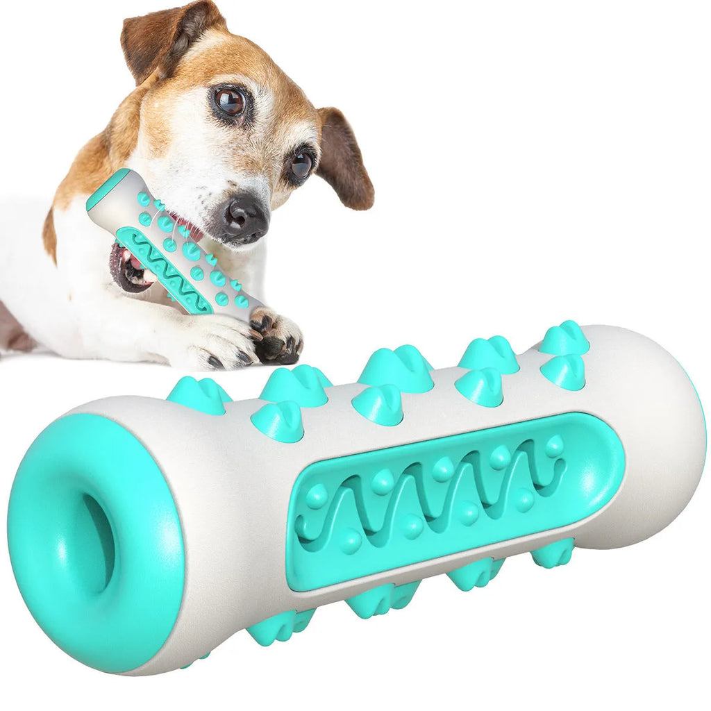 Natural rubber dog toothbrush chew toy in four colours: black/blue, blue, green, and yellow