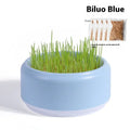 Hydroponic cat grass kit with soilless planting cups in blue, green and yellow colours containing cat grass seeds