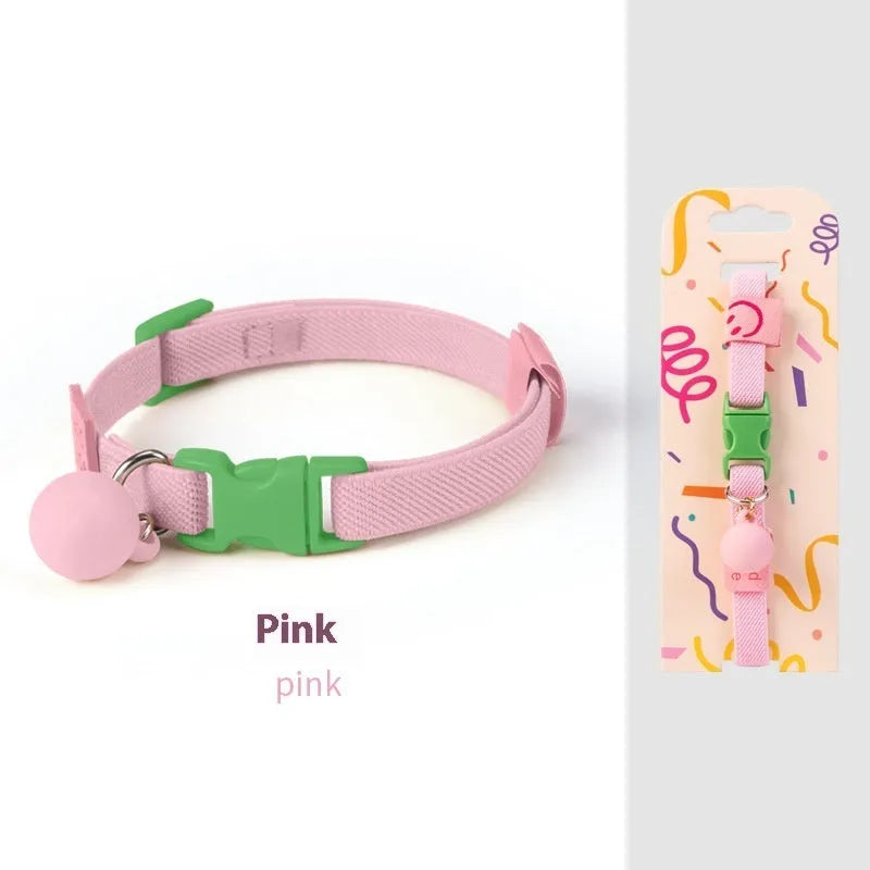 Small dog wearing a stretchy polyester pet collar in a choice of seven colours.