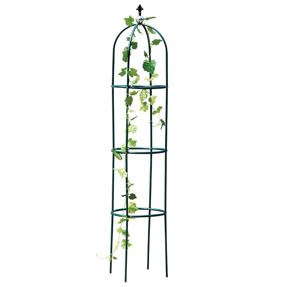 Dark green wrought iron climbing plant frame with grid lattice design